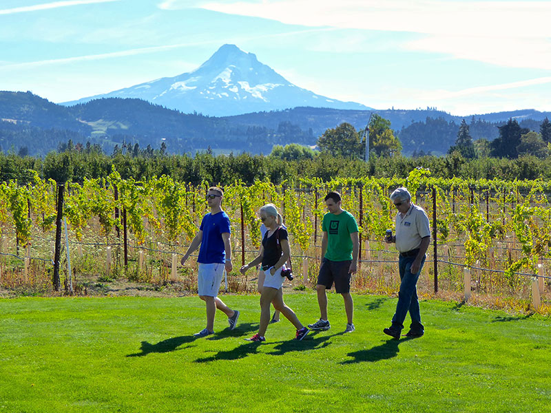 Oregon Winery of the Year